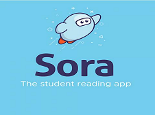 Sora